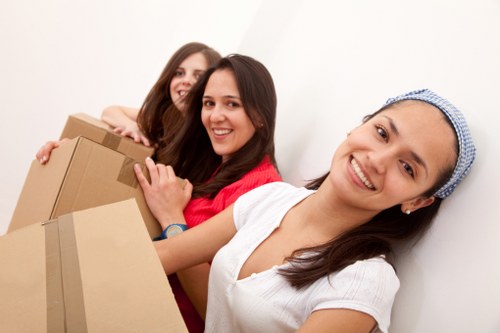 Boxes and packing materials used for Danish relocation services