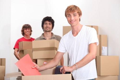 Removalists assisting with a household relocation in Denmark with boxes and appliances
